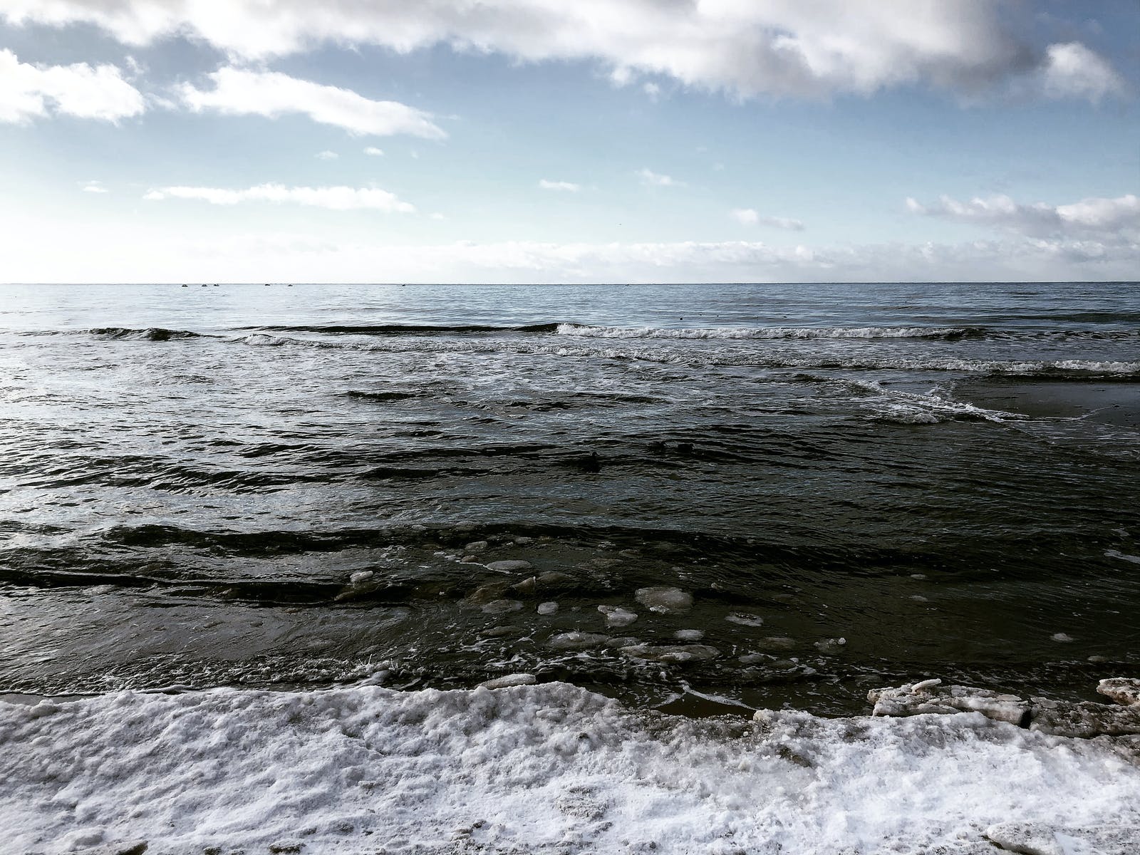 1655198181292815.jpeg pexels-photo-12205141.jpeg